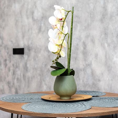 Apartamento Noguera Loft "B" Alicante Exteriör bild